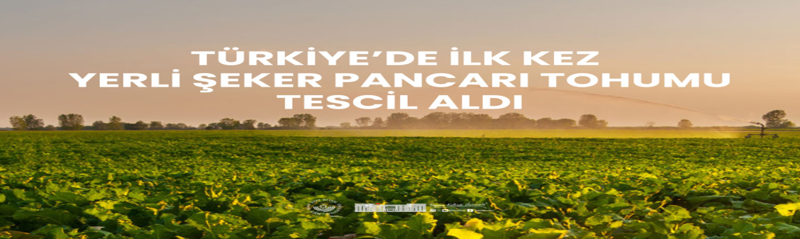 Türkiye’de İlk Kez Tescil Edilen Yerli Şeker Pancarı Çeşitlerine Biyoloji Bölümümüzden Katkı